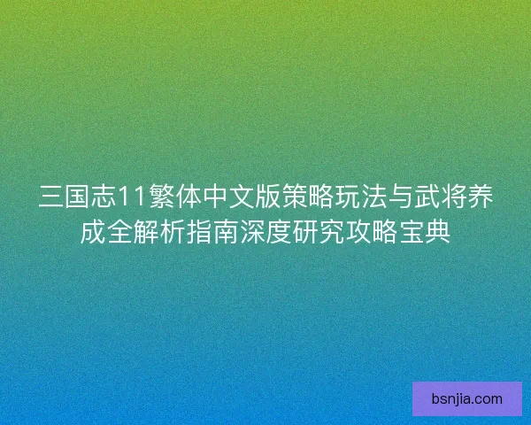 三国志11繁体中文版策略玩法与武将养成全解析指南深度研究攻略宝典